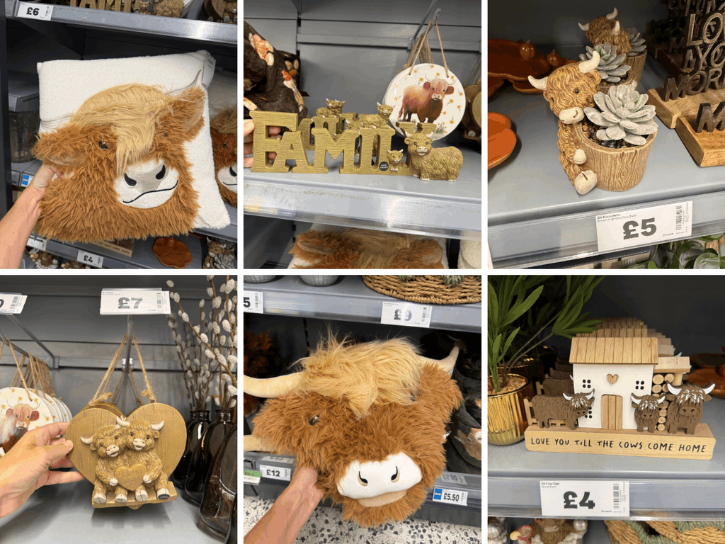 George at Asda home shelf display showing Highland Cow cushions, disco ornaments, and wooden signs
